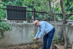 SRKSS_Plantation-06