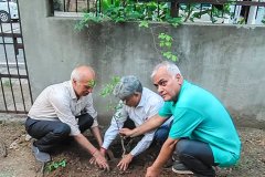 SRKSS_Plantation-12